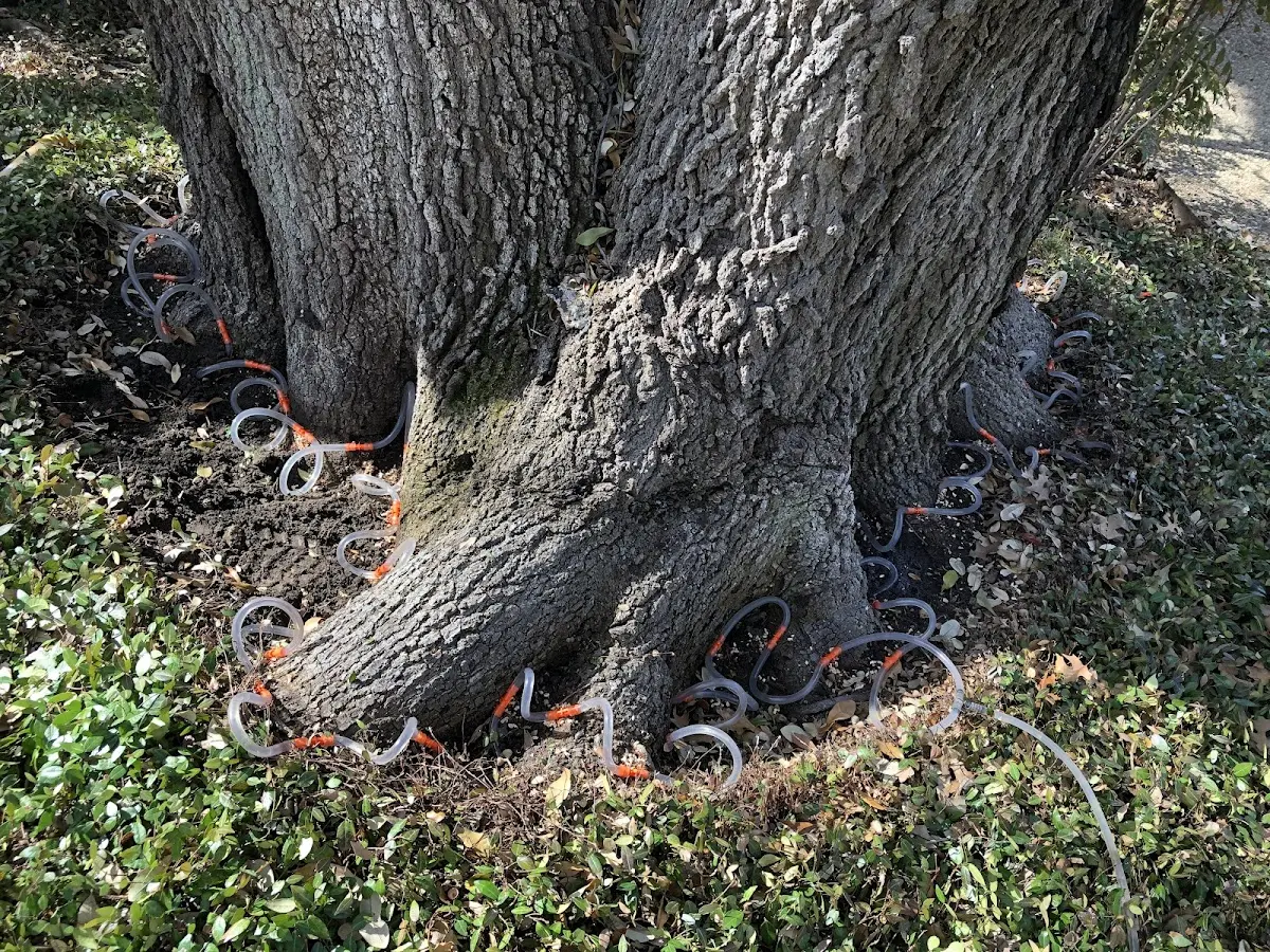 Detailed Shrub and Hedge Trimming job site in Stigler